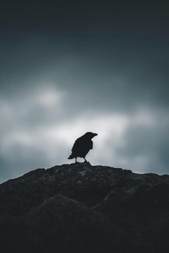 Radio Freewrite, episode #48 Huginn and Muninn